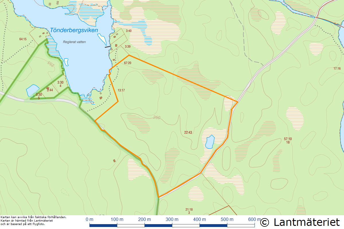 Skog vid Hulen – bild 14