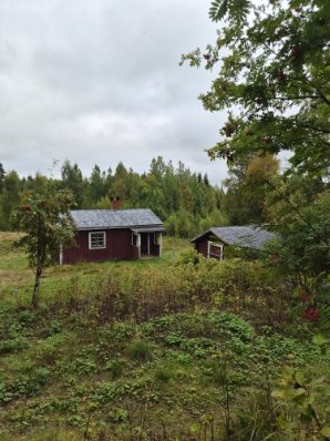 Rosentorp 113 – bild 3