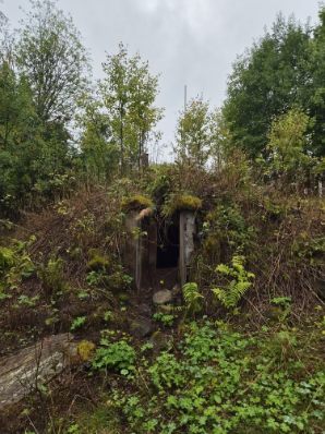 Rosentorp 113 – bild 17