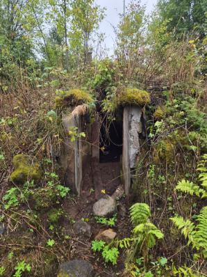Rosentorp 113 – bild 18