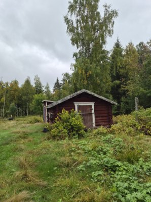 Rosentorp 113 – bild 19