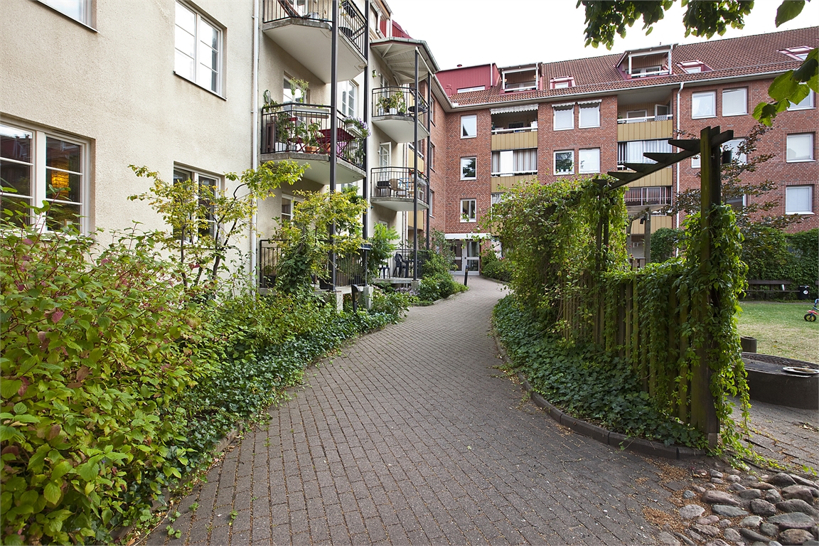 mån 12/10 – bild 14