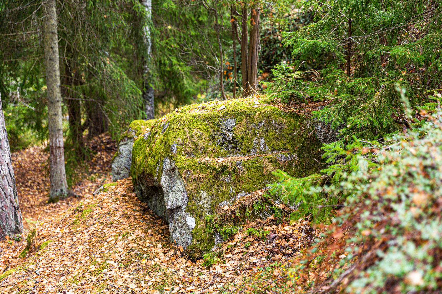 sön 27/9 – bild 44