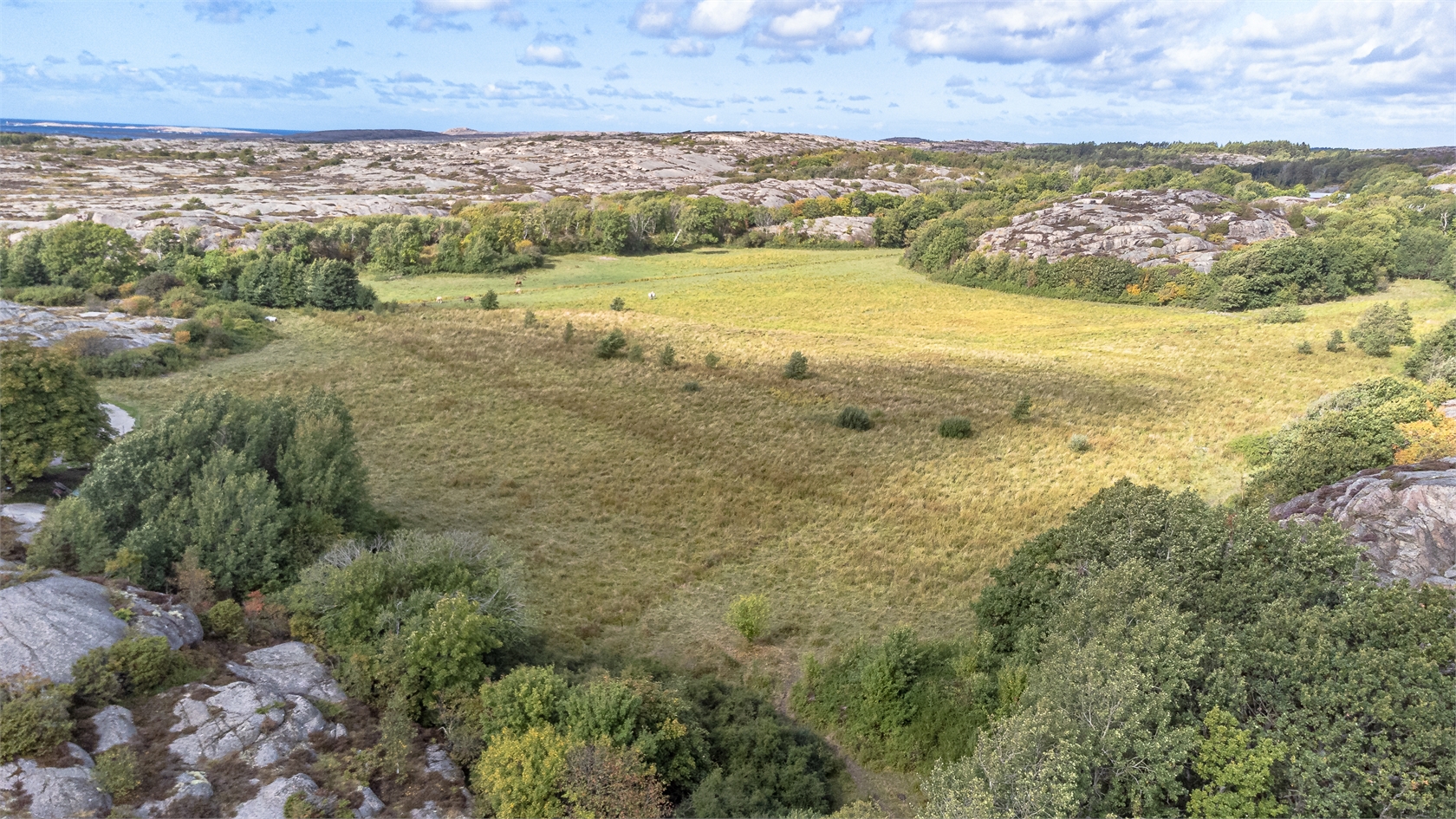 Dyrstolen 2 – bild 9
