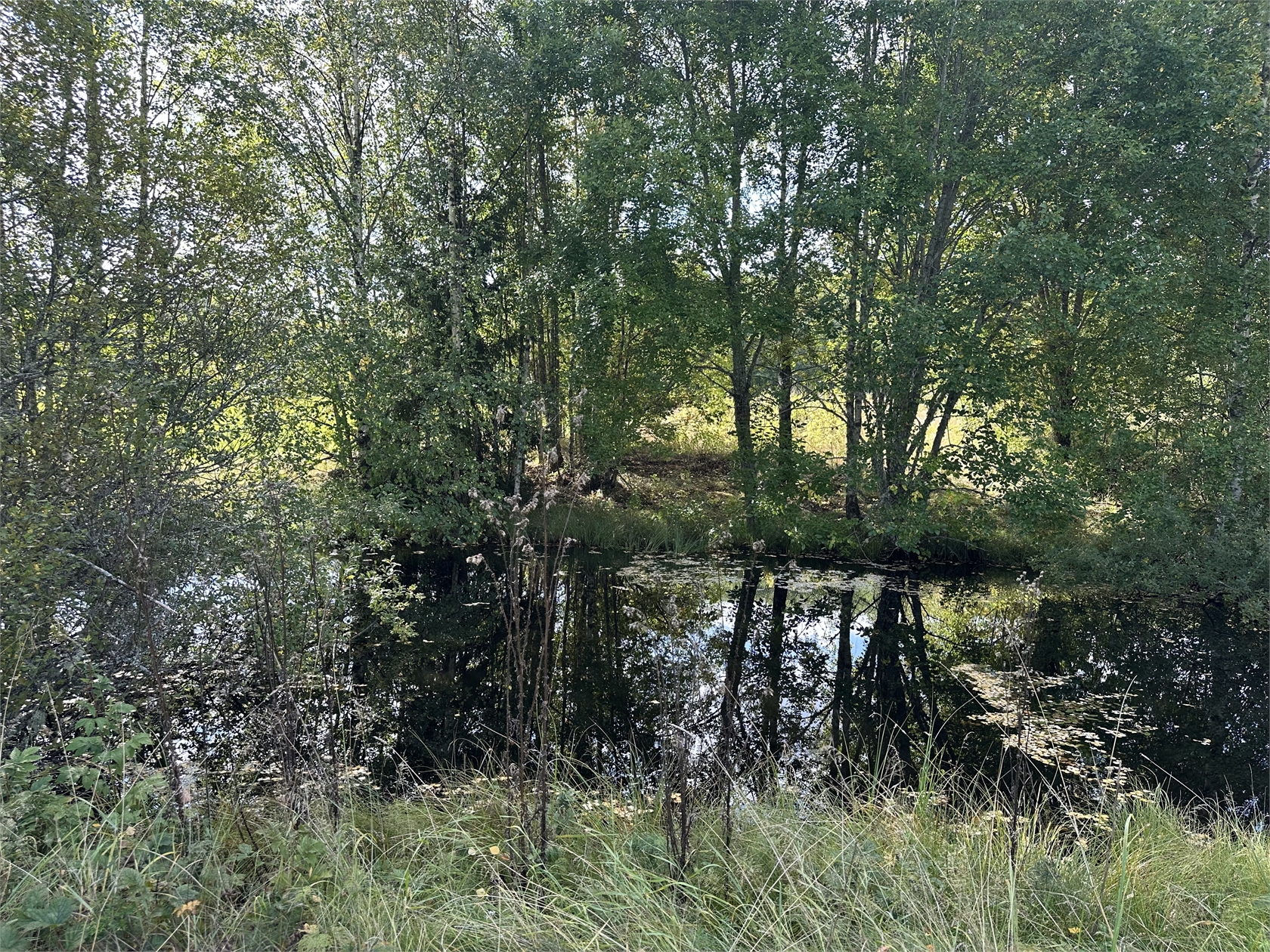 mån 28/9 – bild 14