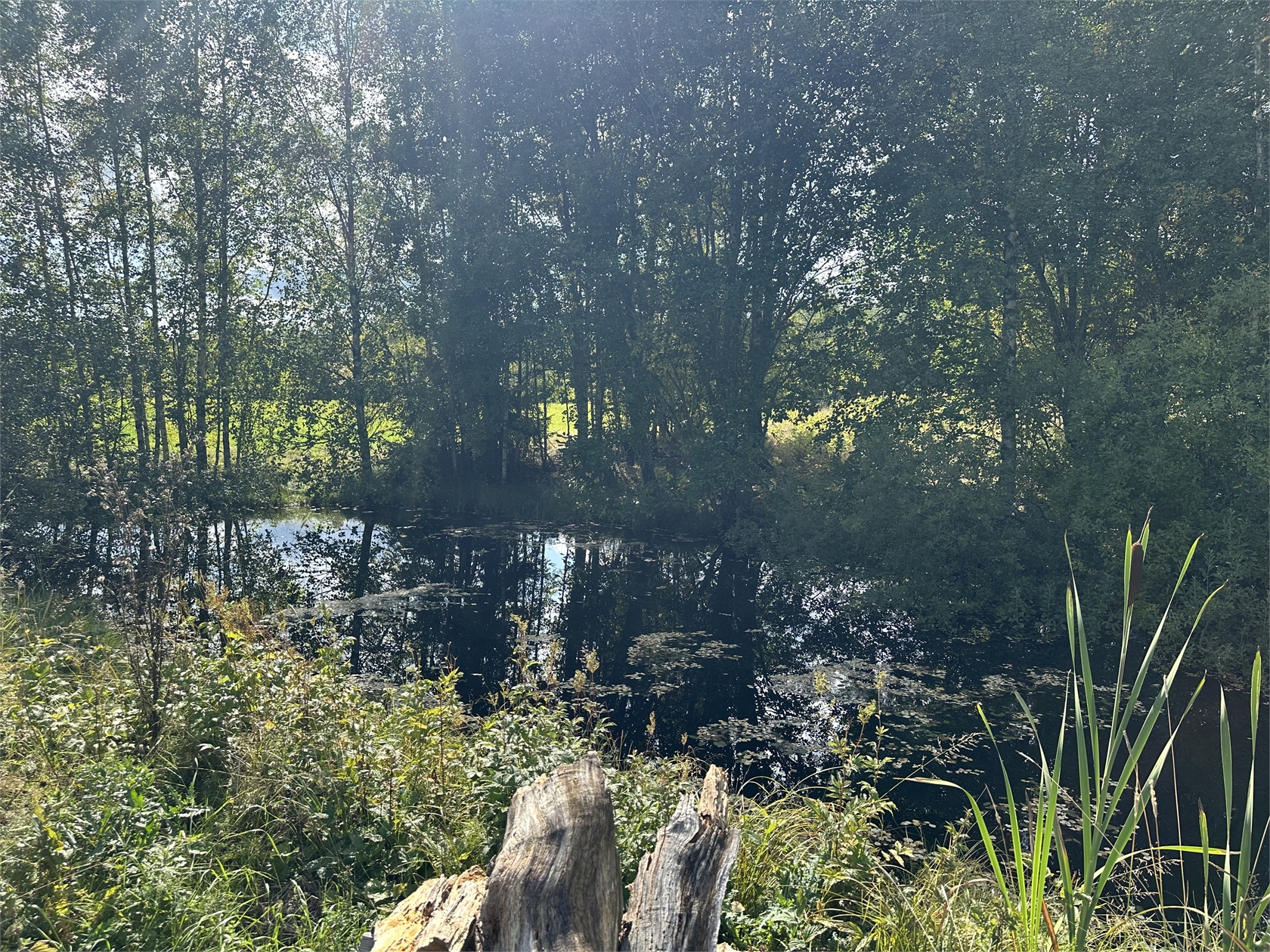 mån 28/9 – bild 15