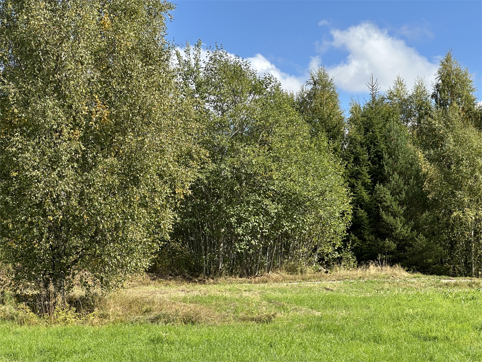 mån 28/9 – bild 7