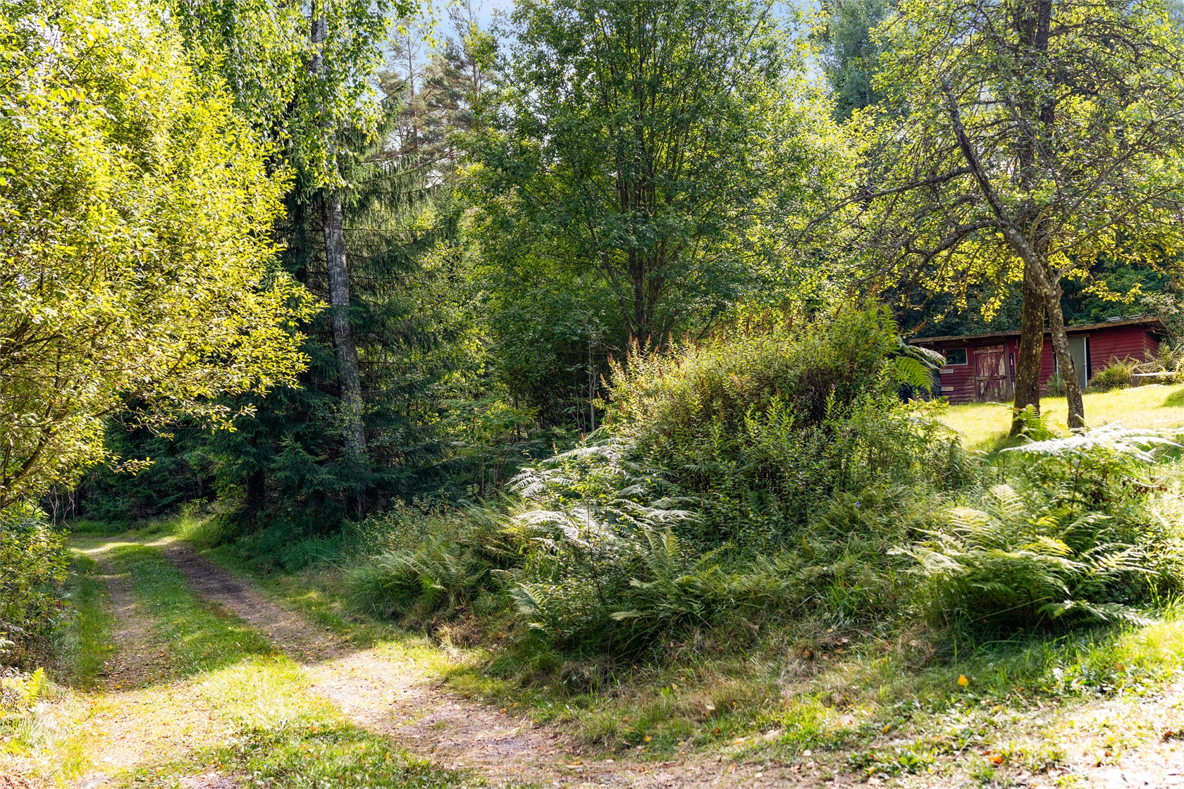 Stinneröd 240 – bild 6