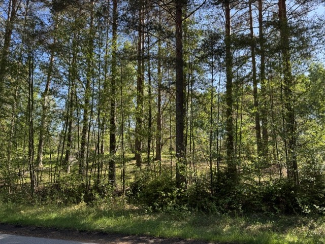 På gång – bild 16