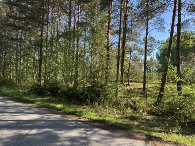 På gång – bild 15
