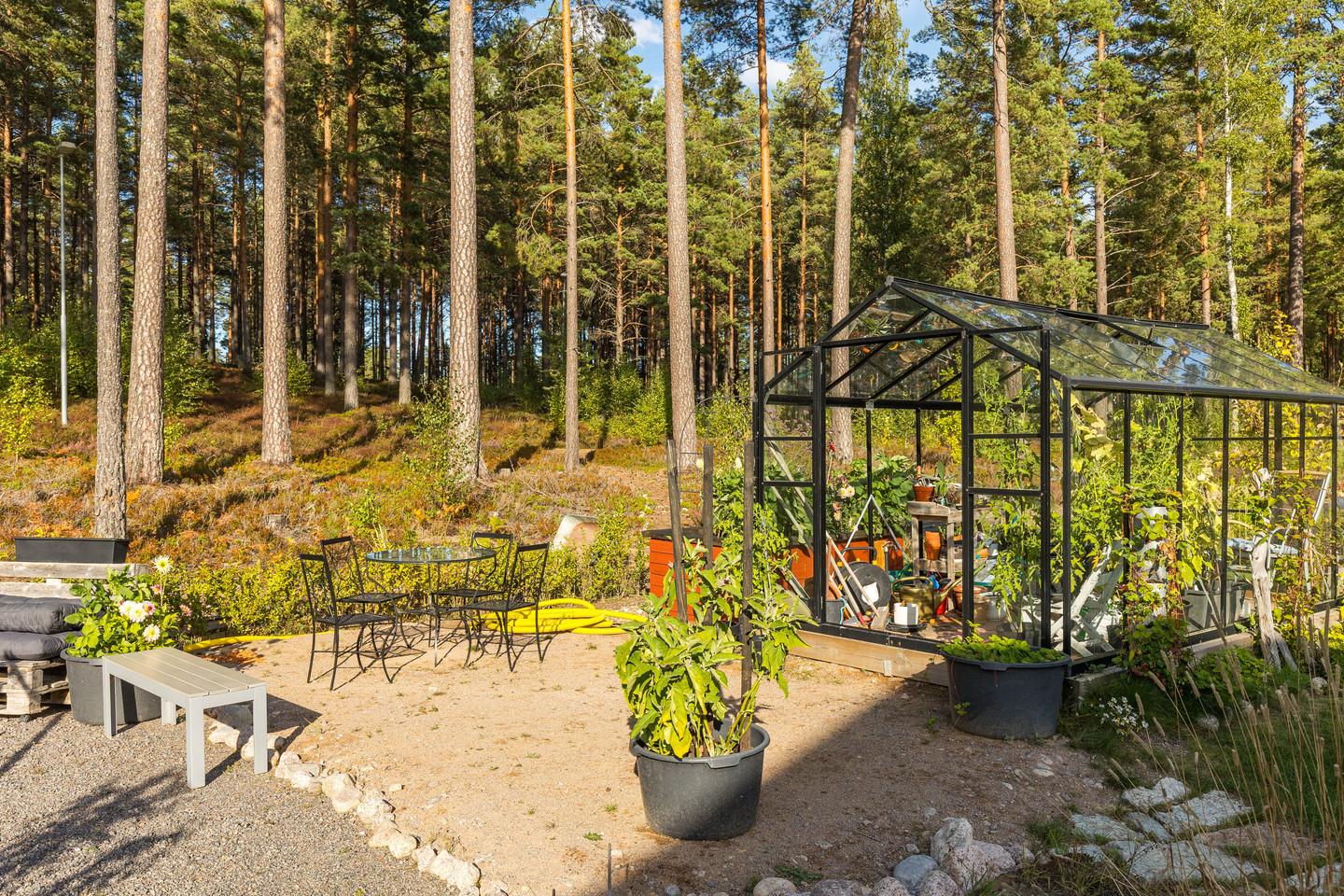 tors 5/11 – bild 41