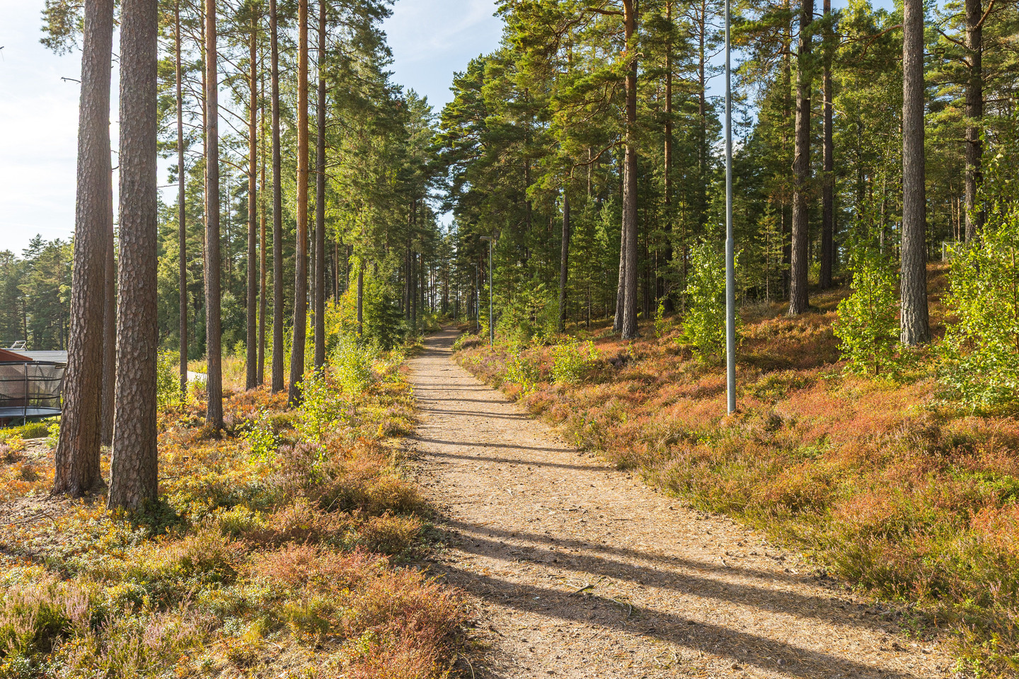 tors 5/11 – bild 47