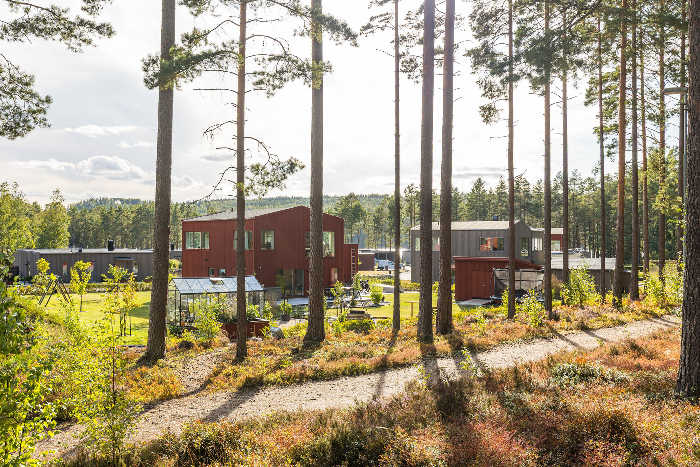 tors 5/11 – bild 36
