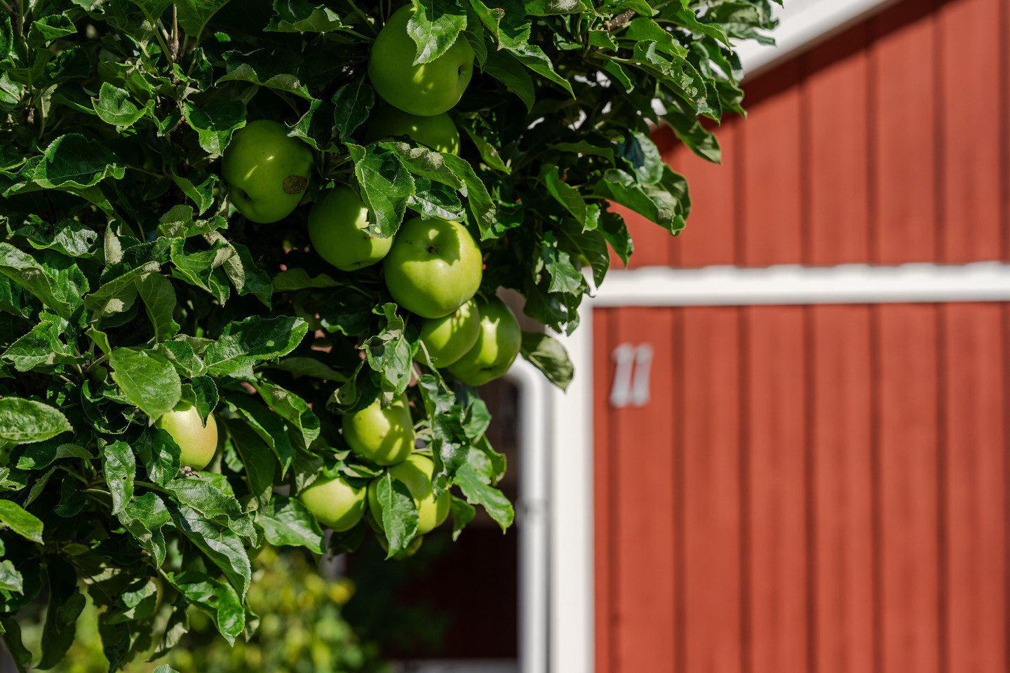 På gång – bild 42