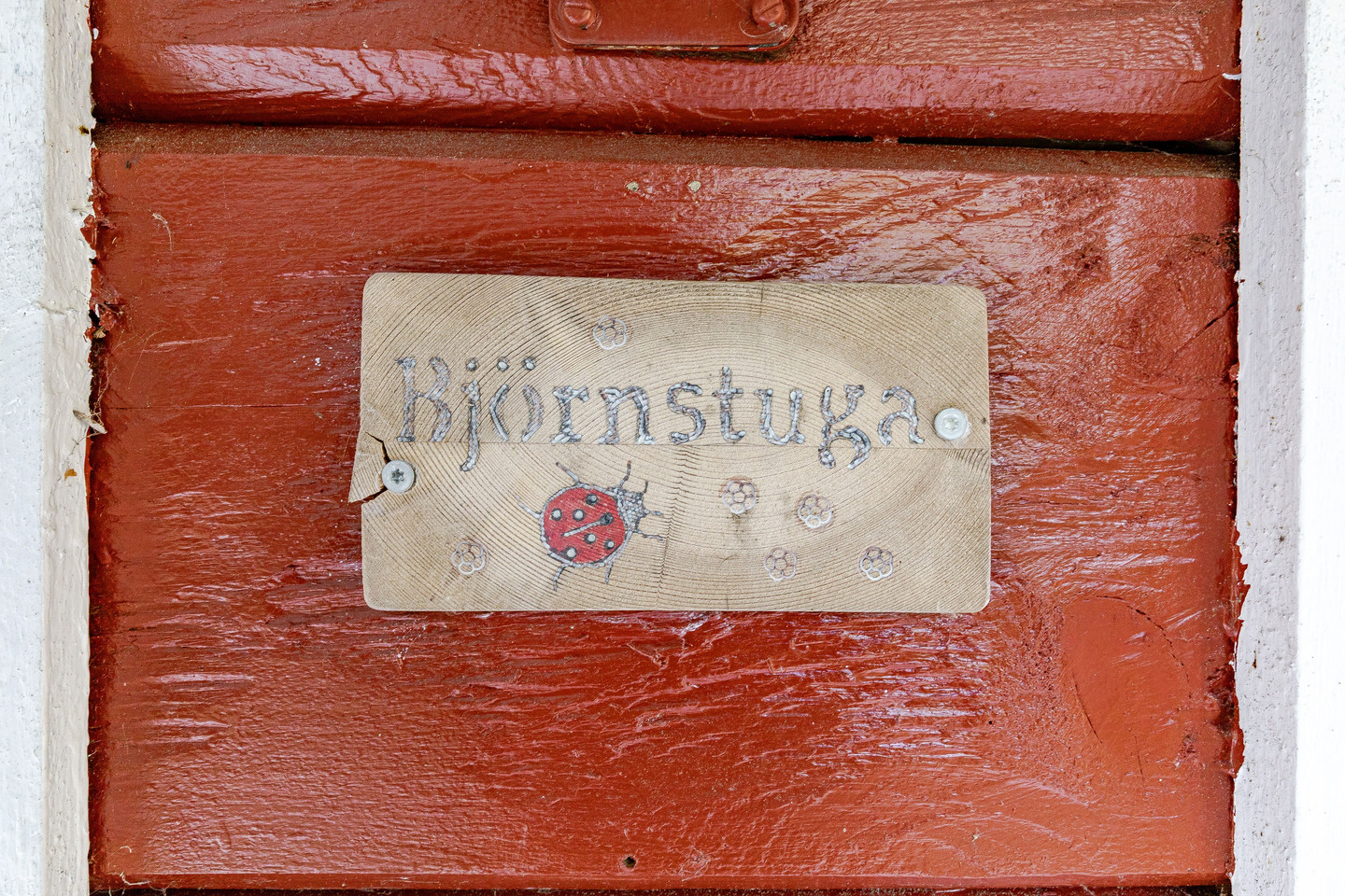 Röjan 455 – bild 13