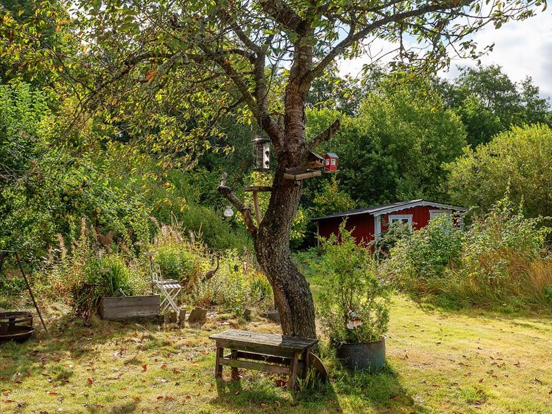 Ed 11 – bild 23