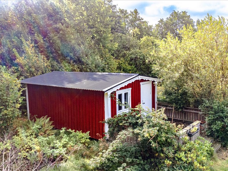 Ed 11 – bild 19