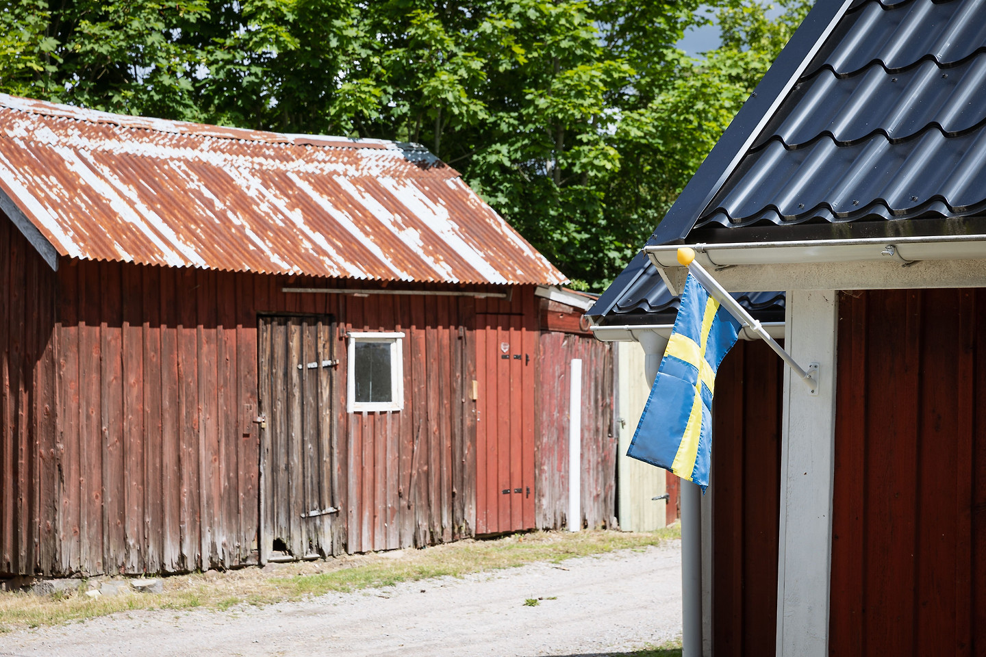 sön 11/10 – bild 20