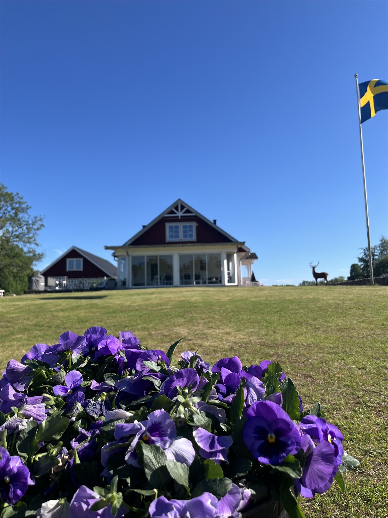 Romborna Linrotsgård 6 – bild 30