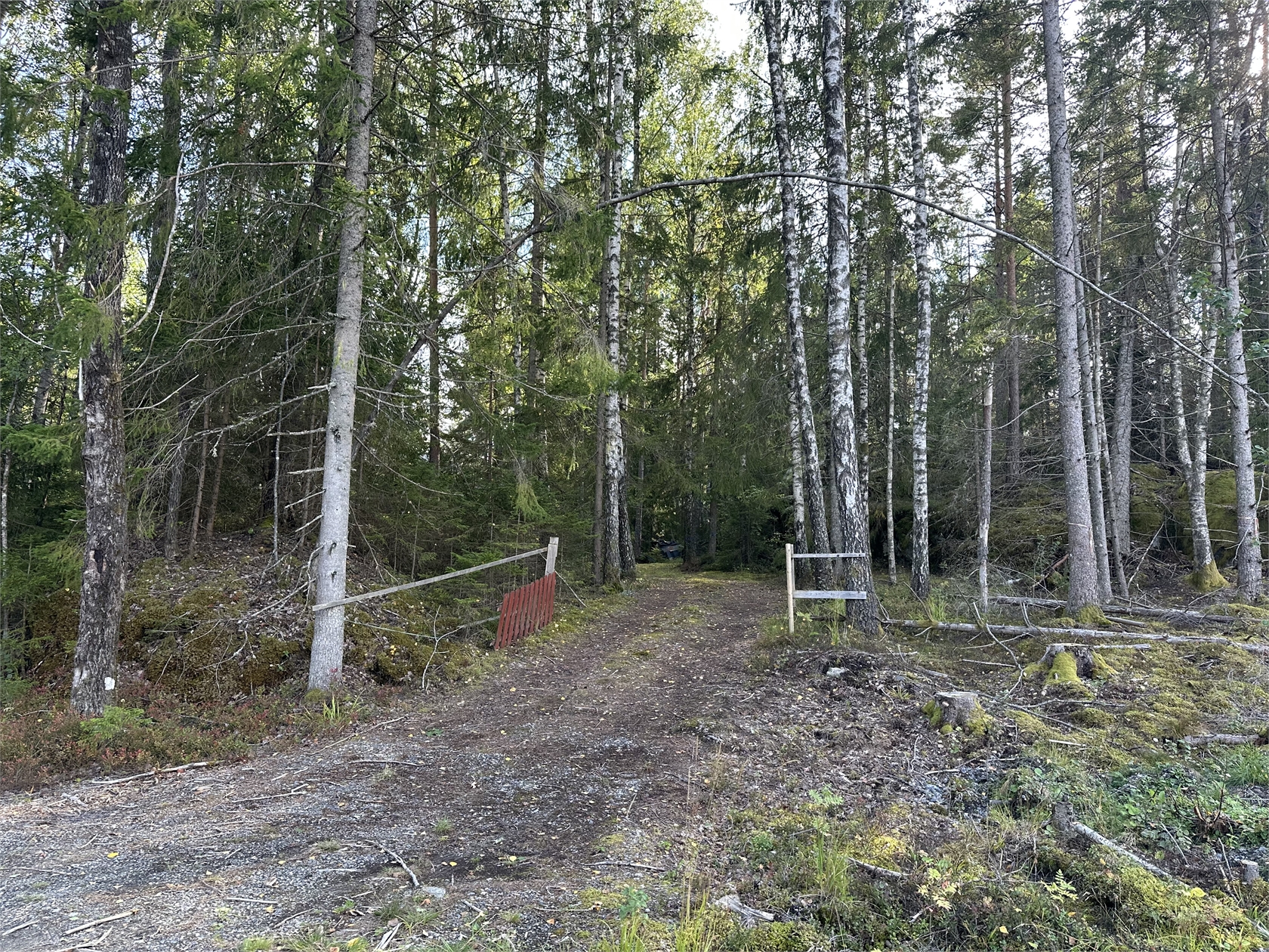 Se fler – bild 14