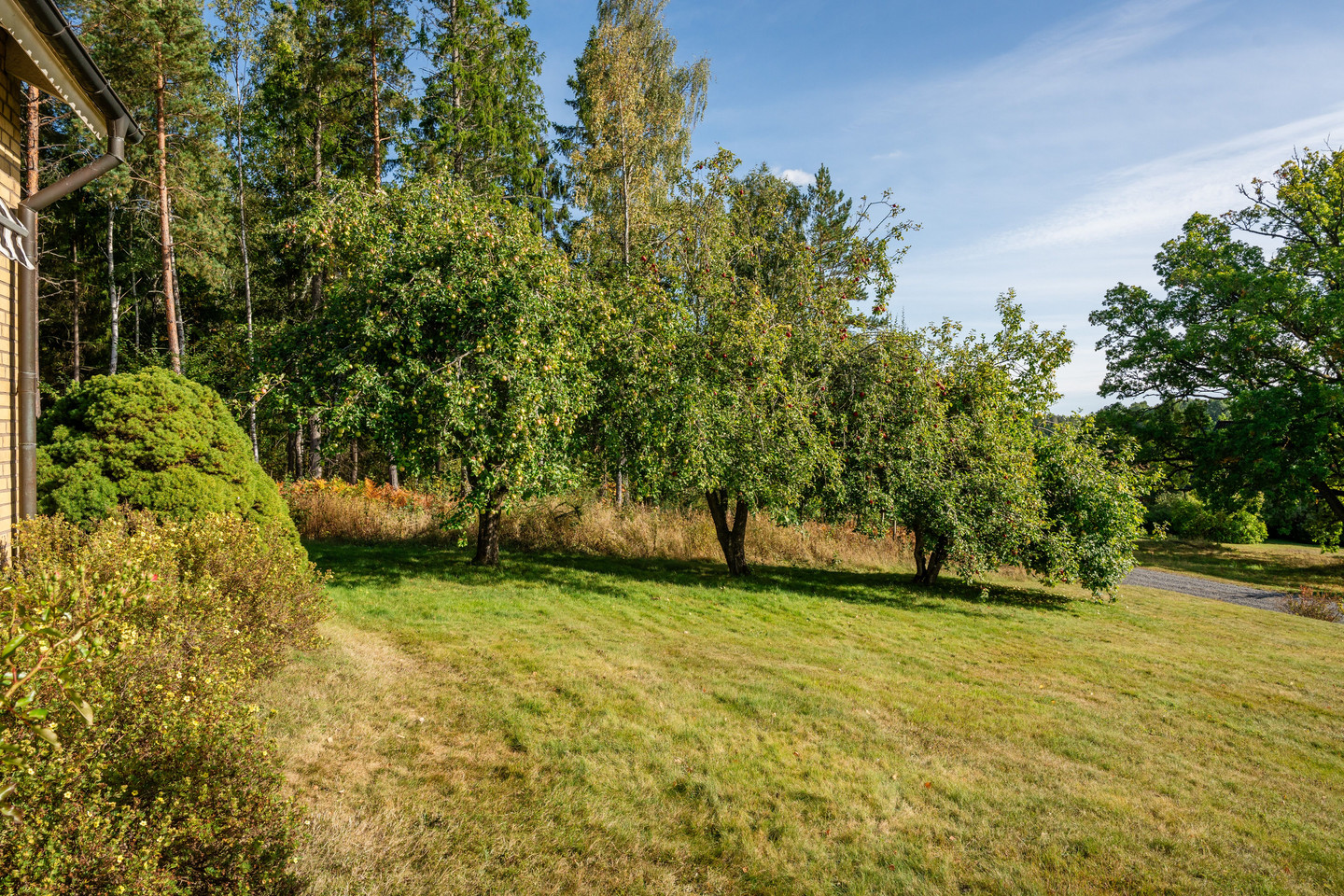 Se fler – bild 56