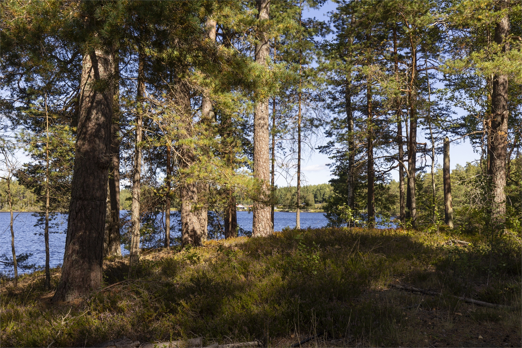 På gång – bild 8