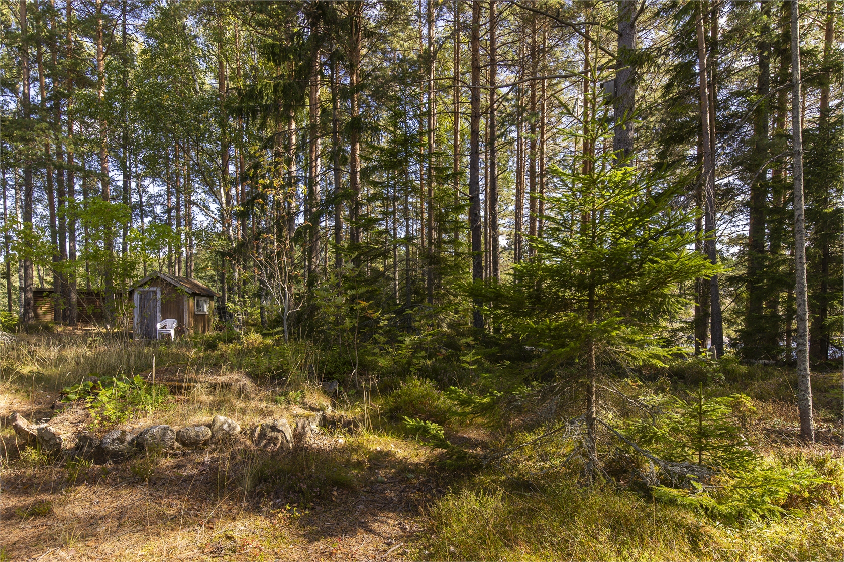 På gång – bild 20