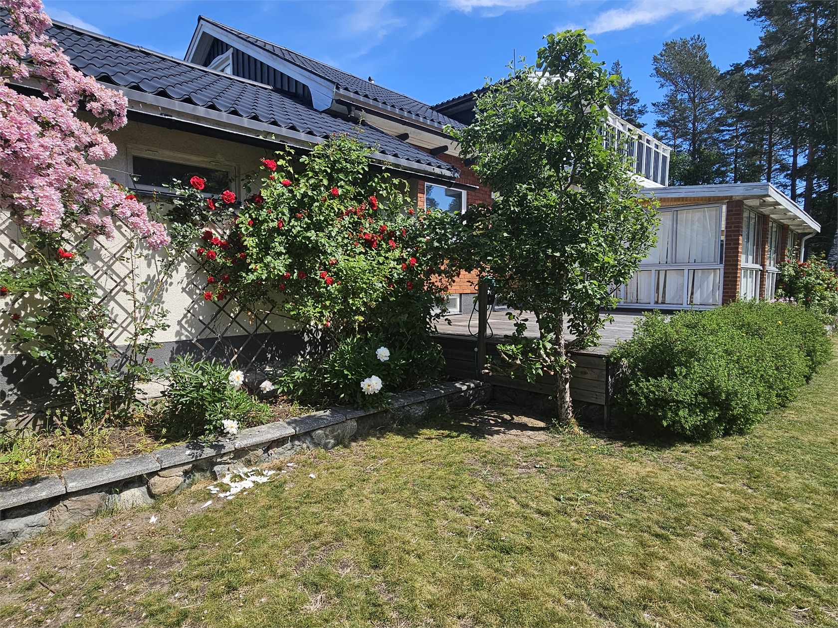 Se fler – bild 43