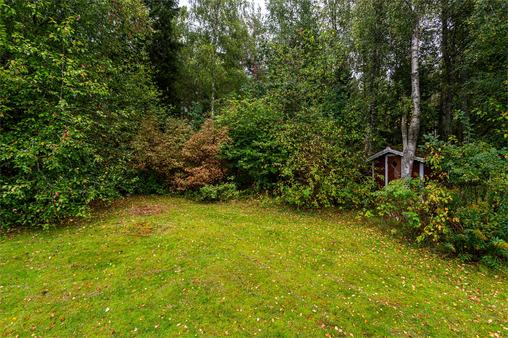 fre 25/9 – bild 21