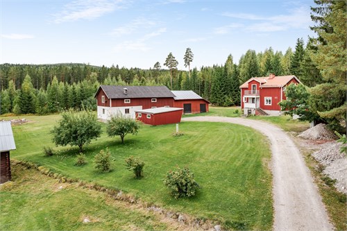 Ryggesbo 411