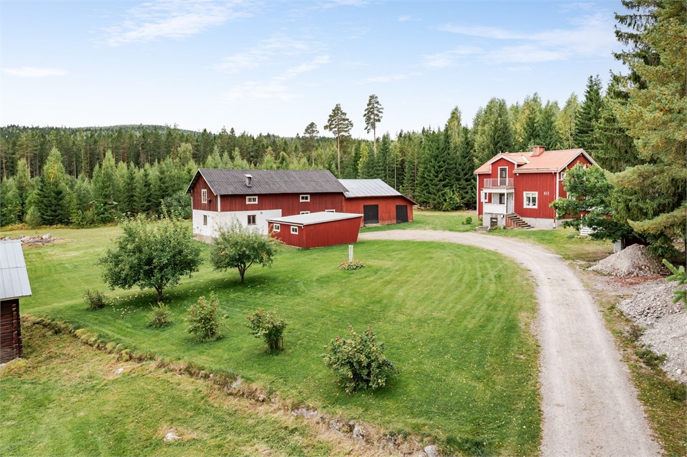 Ryggesbo 411