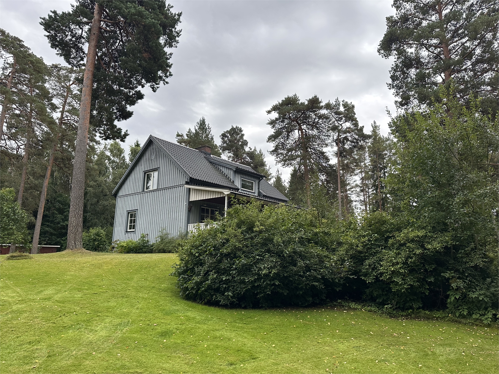 tors 1/10 – bild 2
