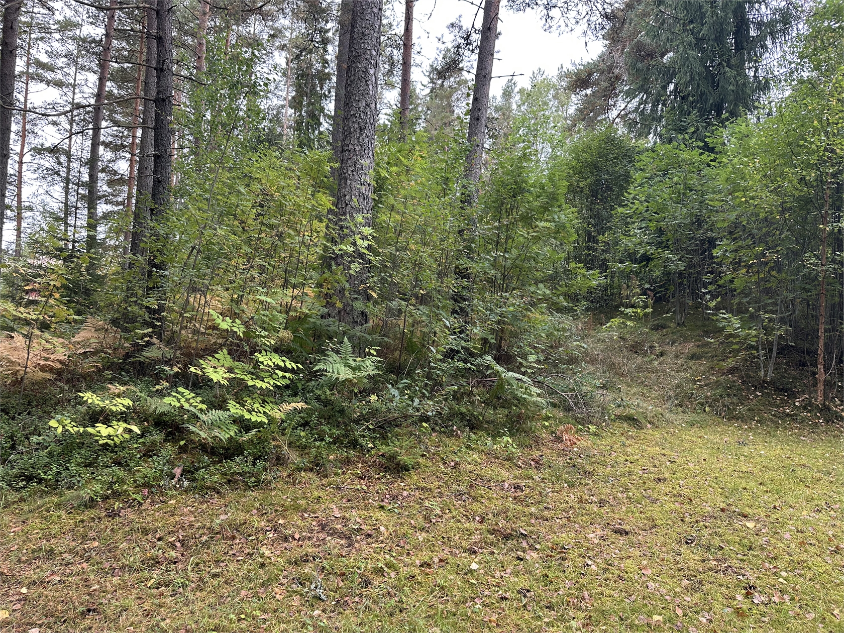 tors 1/10 – bild 8