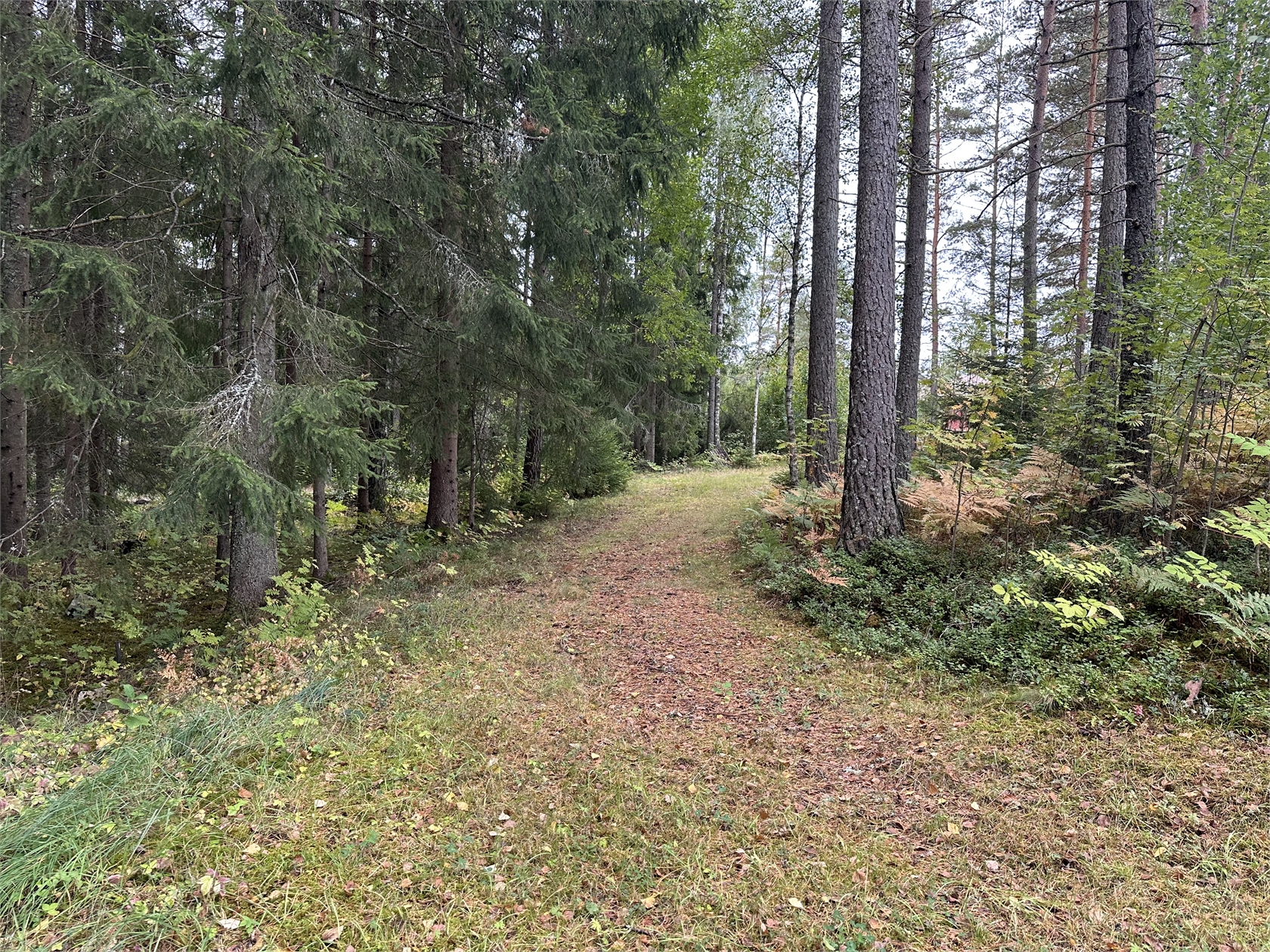 tors 1/10 – bild 10