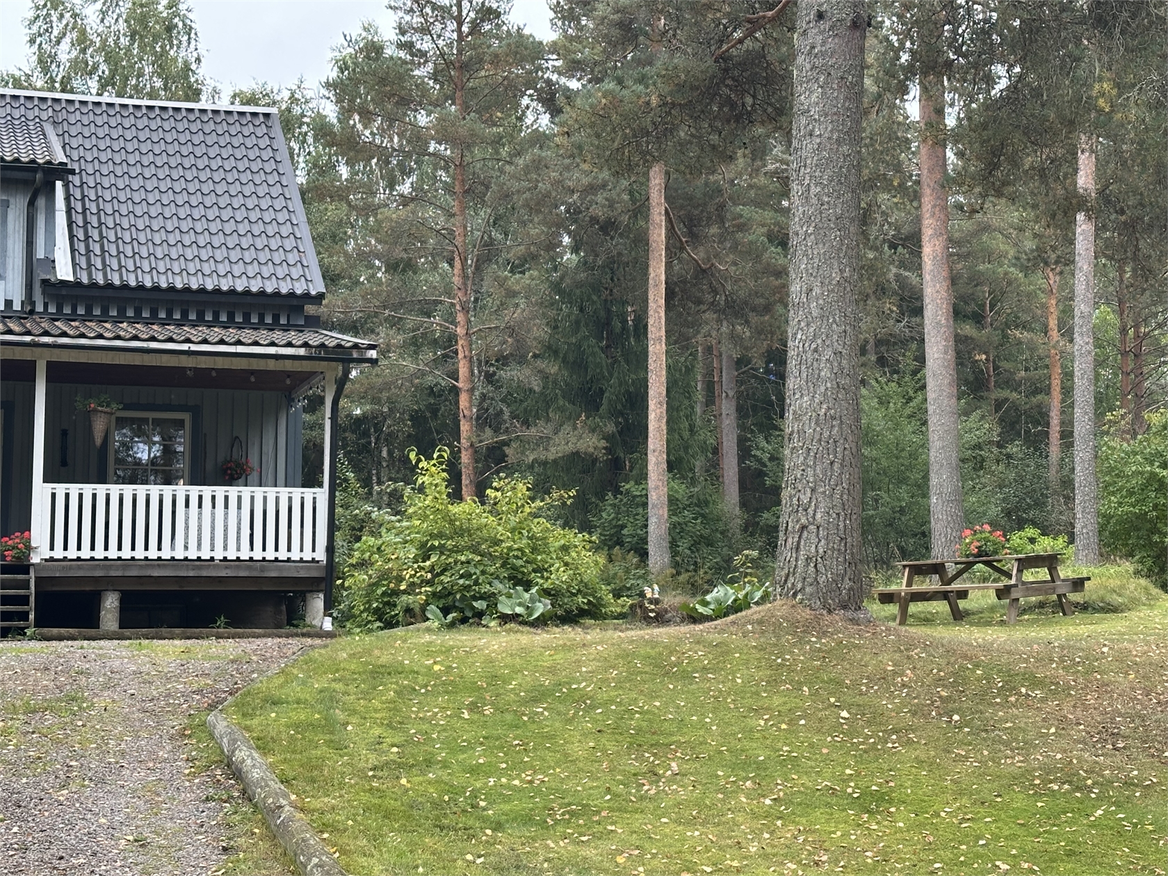 tors 1/10 – bild 5