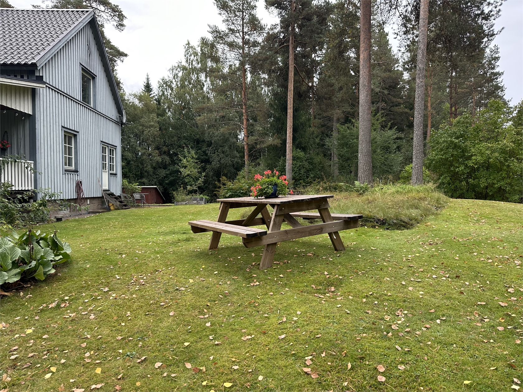 tors 1/10 – bild 14