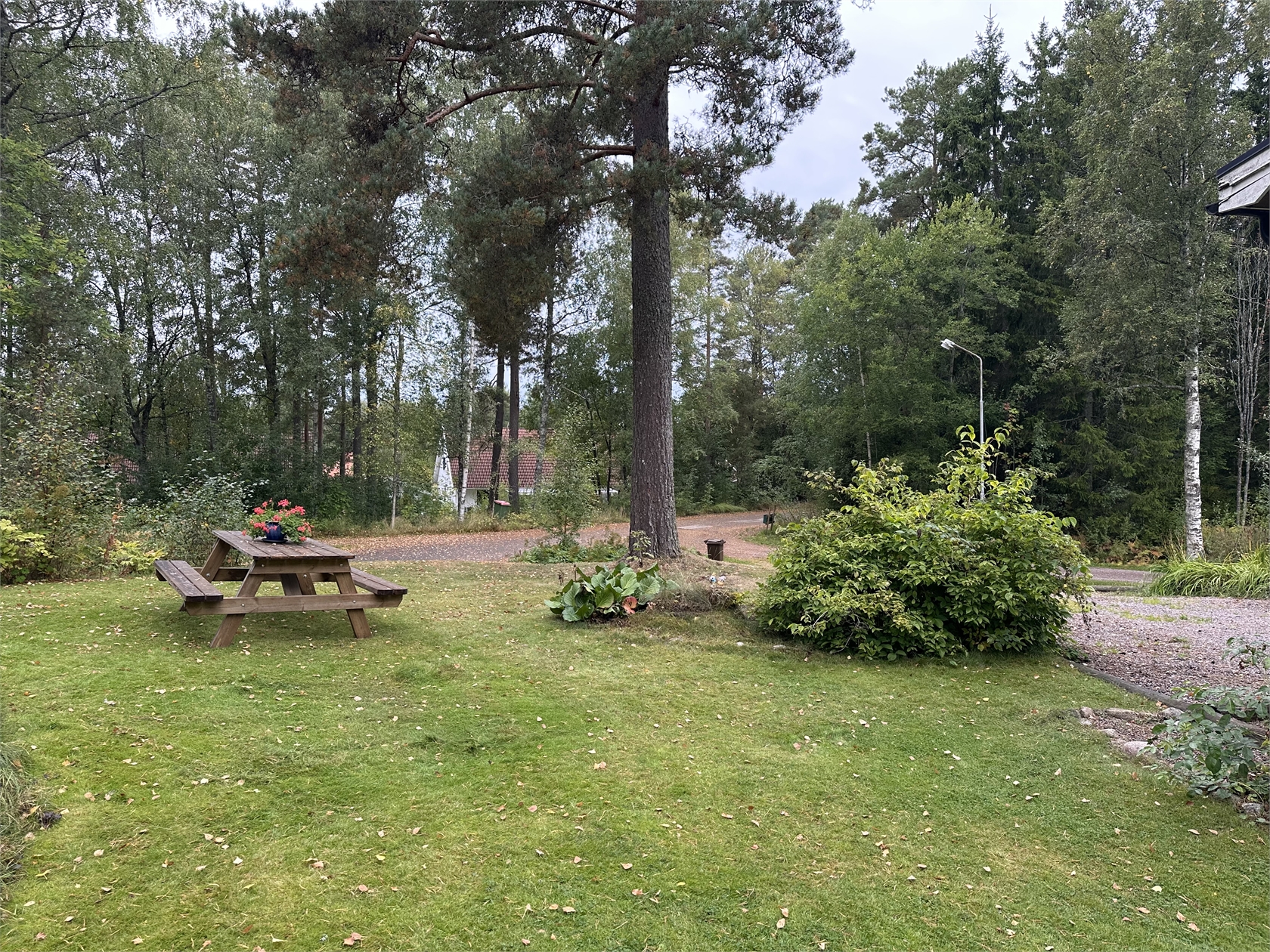 tors 1/10 – bild 6