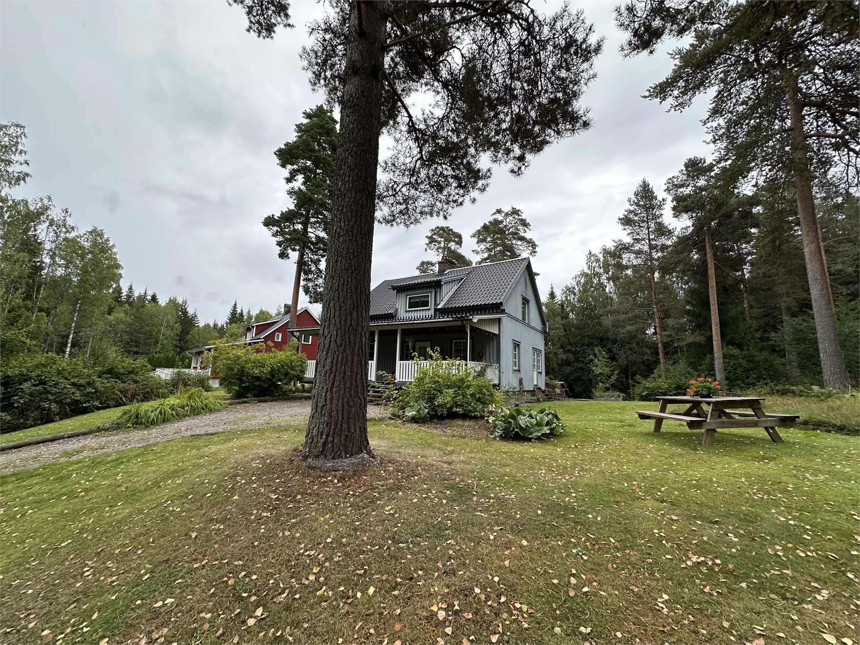tors 1/10 – bild 3