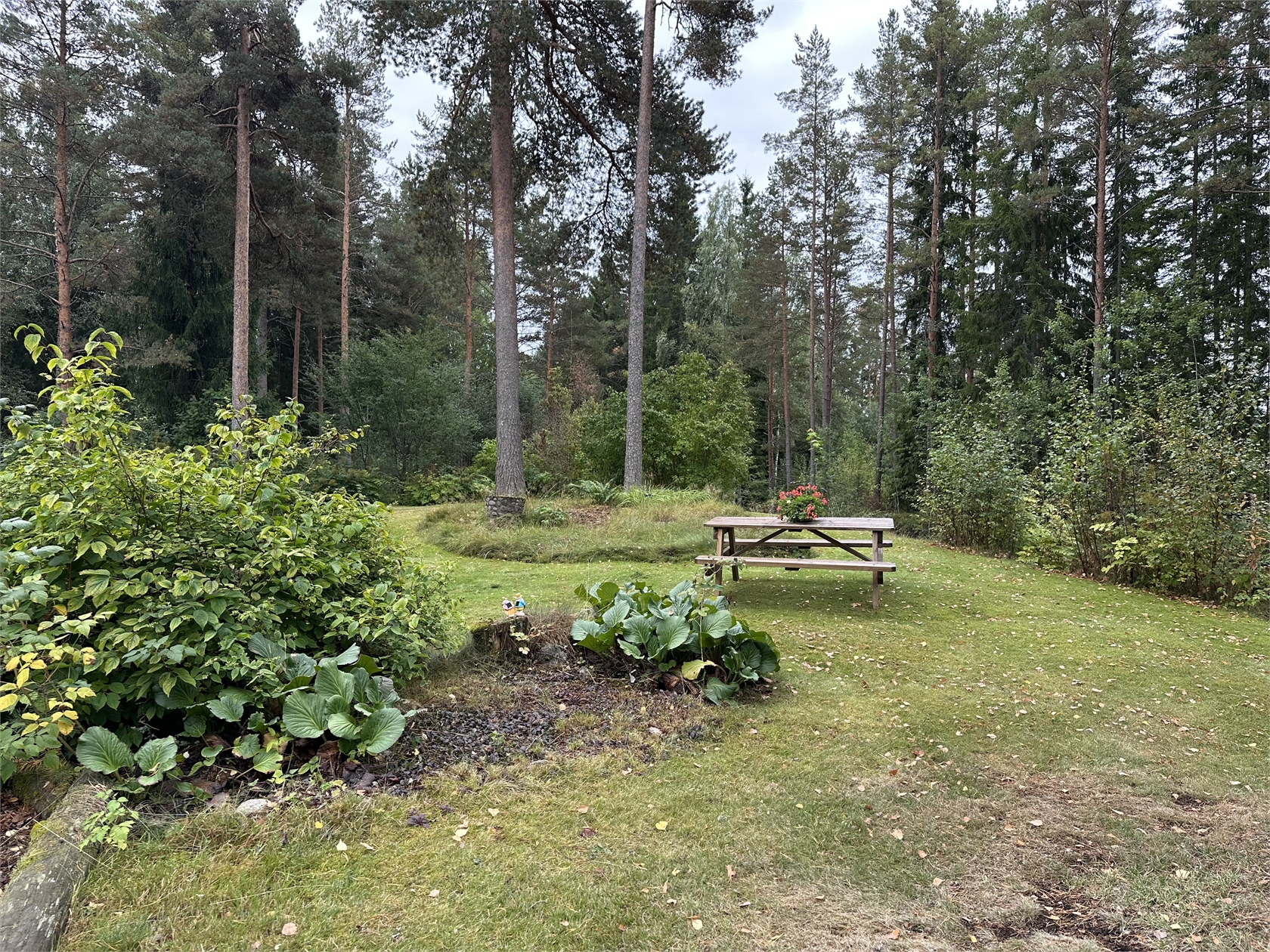 tors 1/10 – bild 15