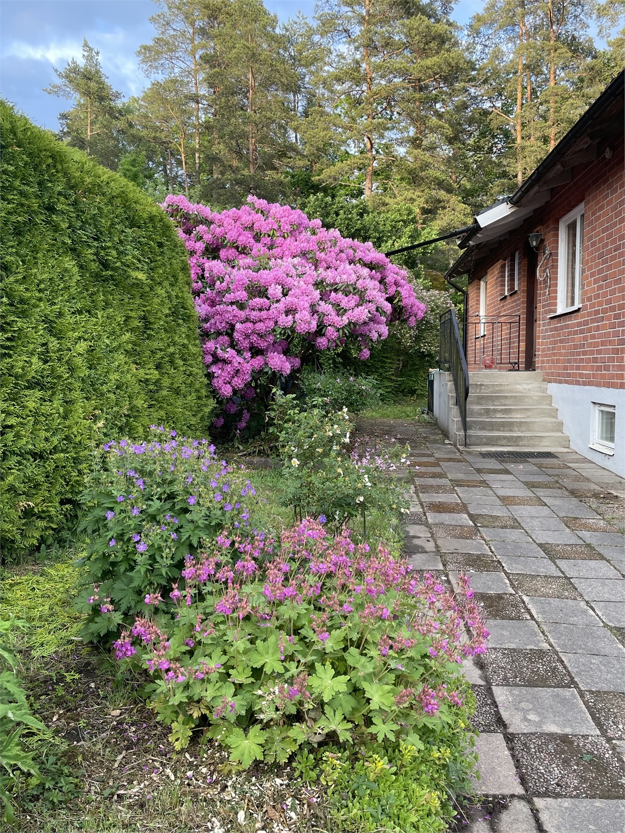 Ängsvägen 8 – bild 23