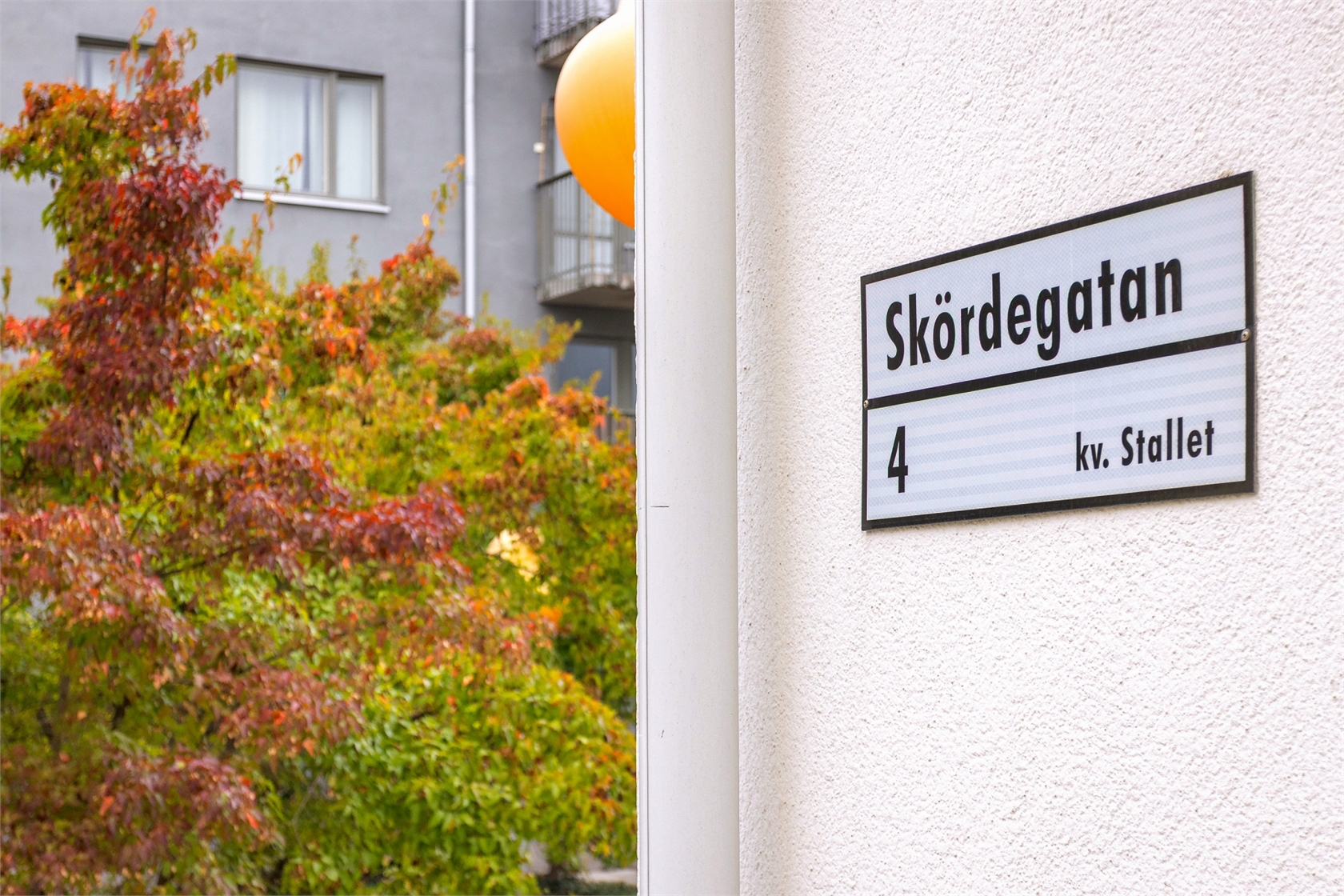 sön 18/10 – bild 13