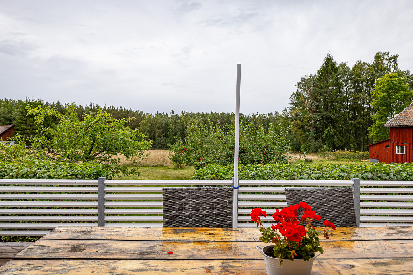 tis 29/9 – bild 34