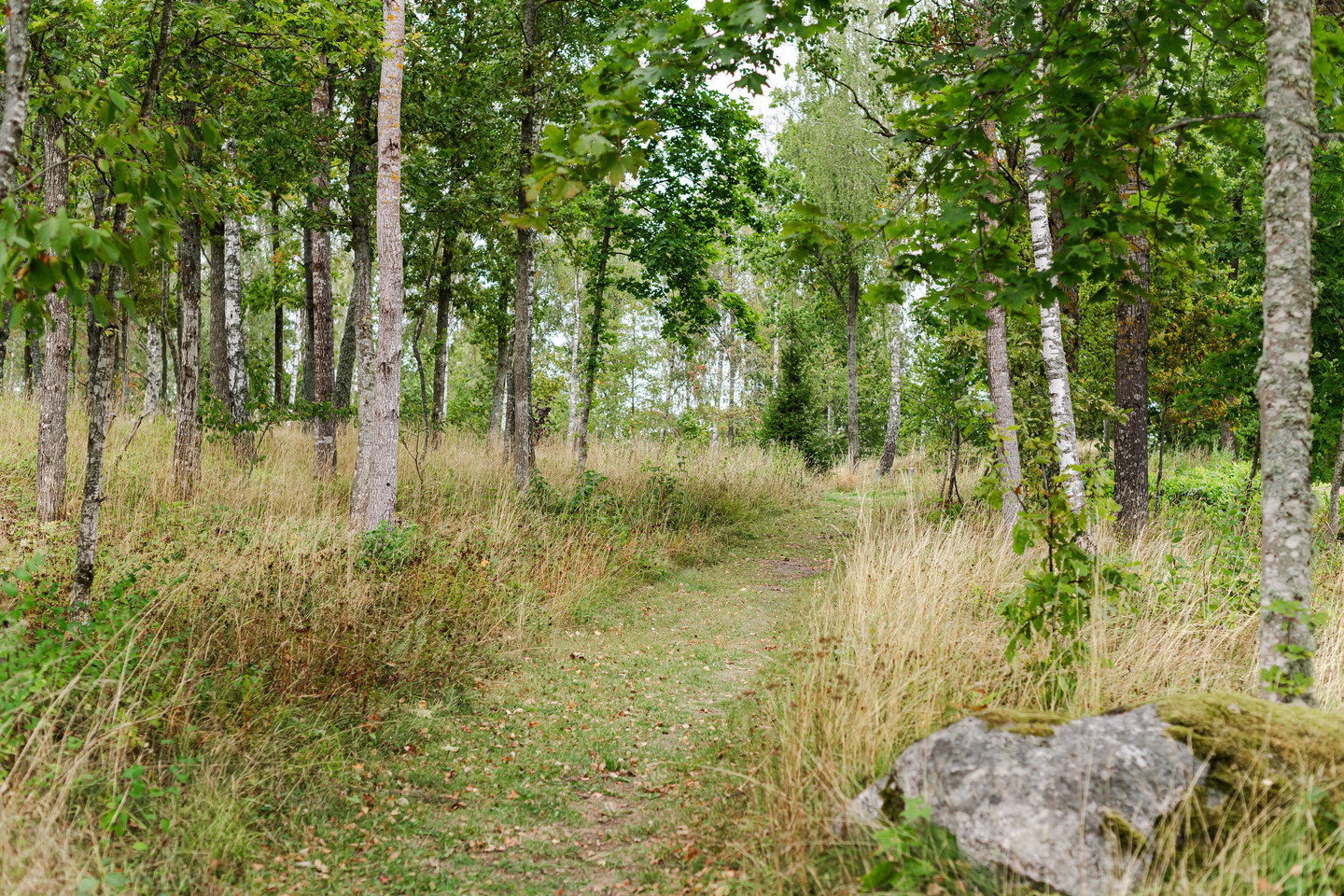 sön 27/9 – bild 31
