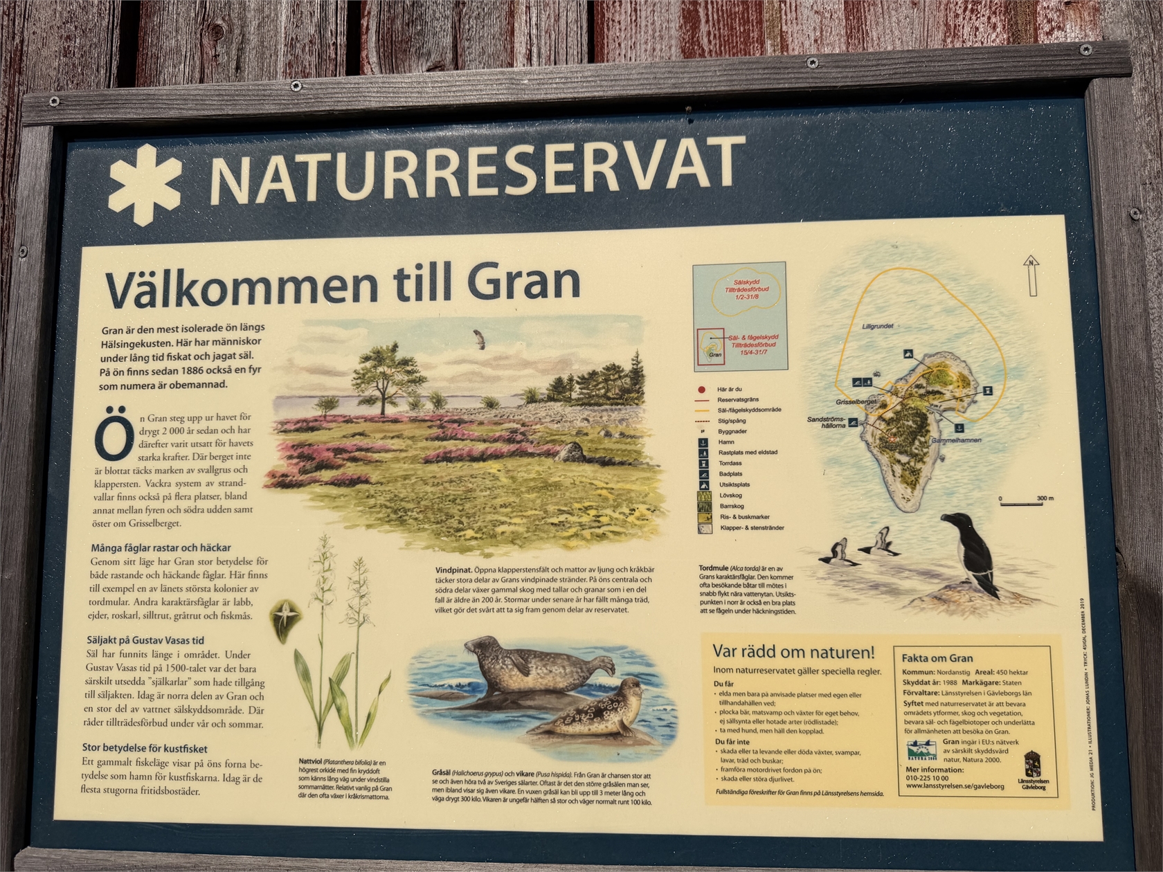 Se fler – bild 61