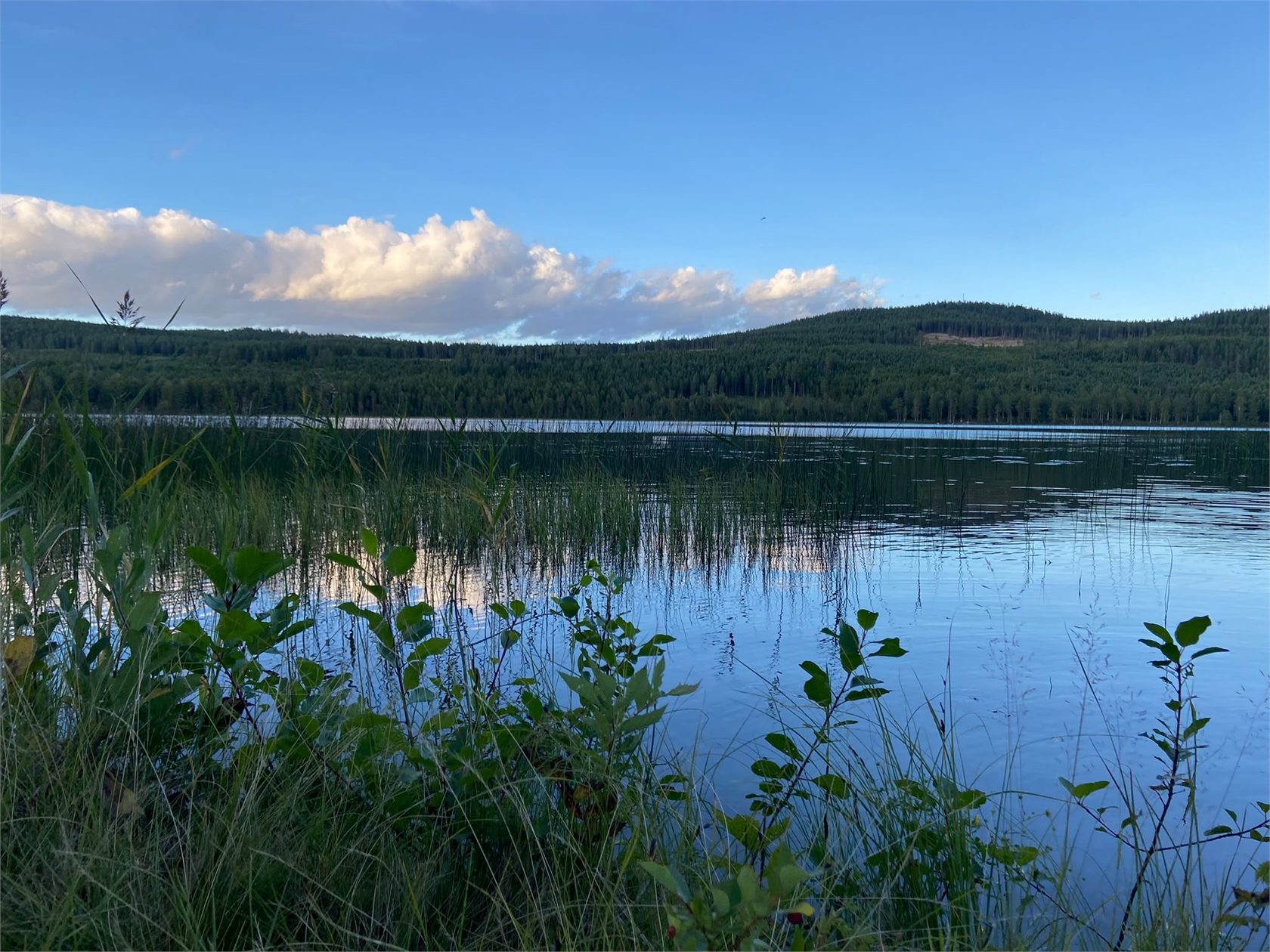 Yxbodarna 22 – bild 58
