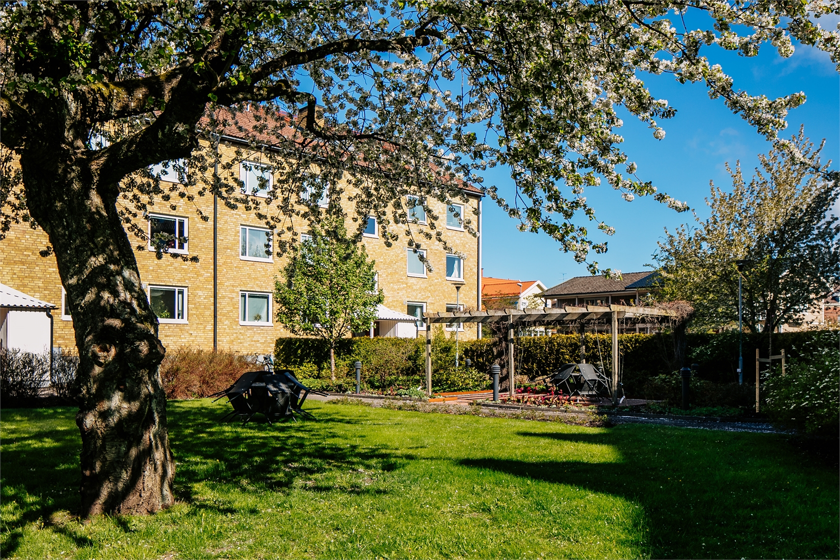 På gång – bild 16