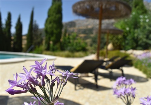 La Vinuela | Costa Del Sol