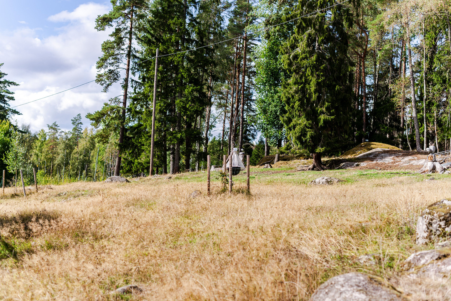 På gång – bild 48