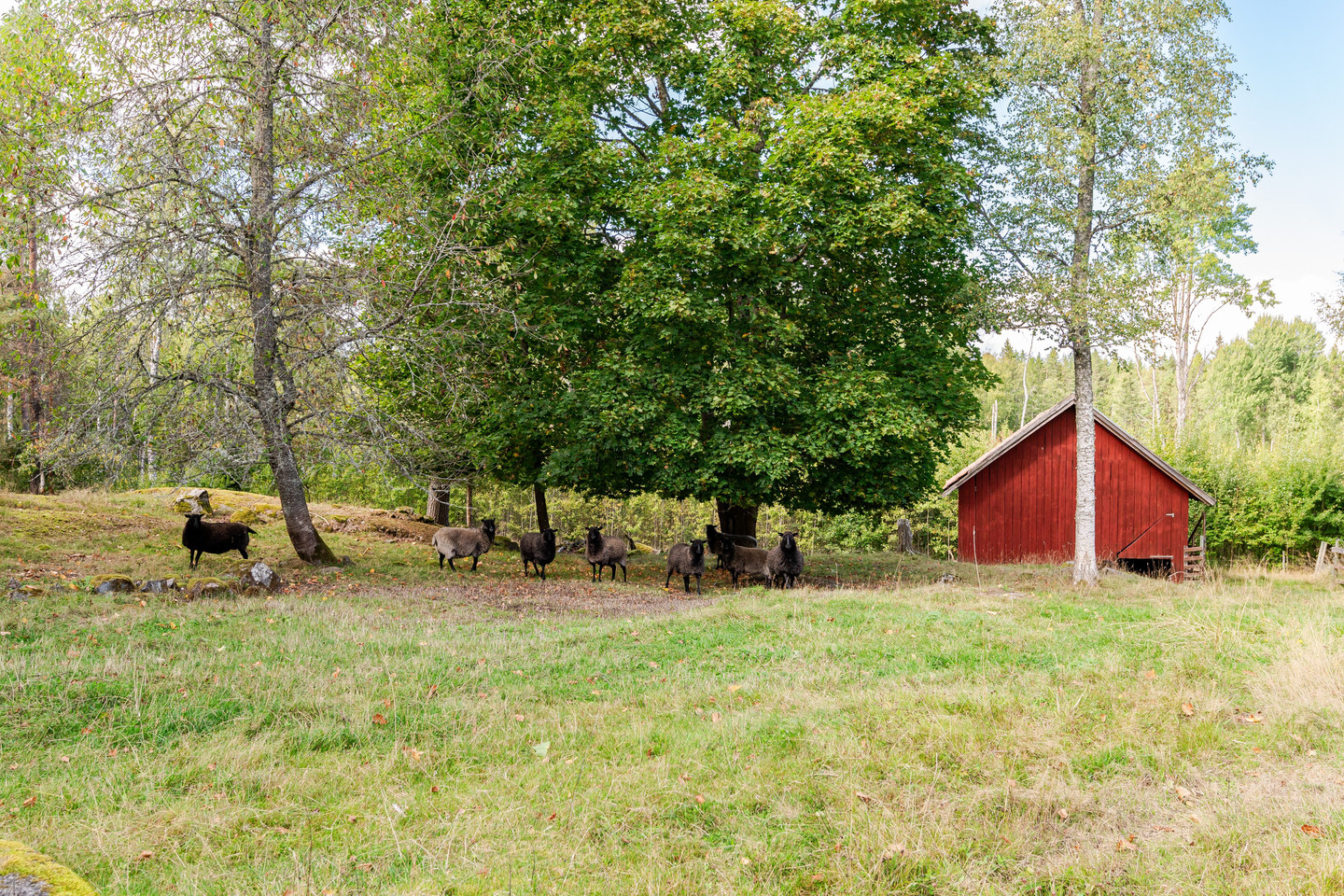 På gång – bild 43