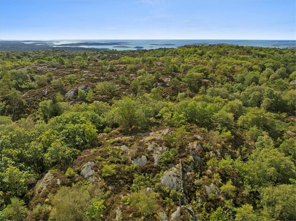Mindre markområde - västra Orust